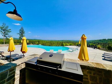 82 Barrel Knot Ct, Talking Rock, GA 30175 - photo 5