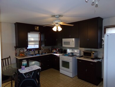 719 Cleveland Ave, Batavia, IL 60510 - photo 6