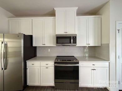 216 Russell Branch Ln, Charlotte, NC 28211 - photo 7