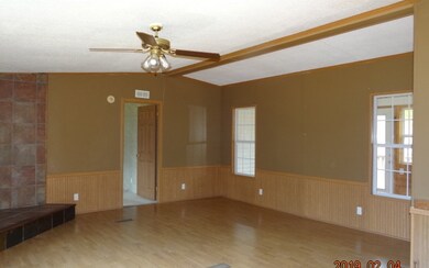 382 Dale Valley Cir, Ellijay, GA 30540 - photo 3