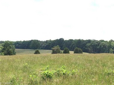 3159 Grantville Ln, Asheboro, NC 27205 - photo 4