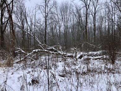 AE28A998-A2E5-4030-839D-B512F833863B