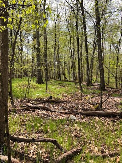 0 Lily Lake Rd unit KEY908782, Lloyd, NY 12528 - photo 6