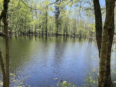 View of water feature with a wooded view