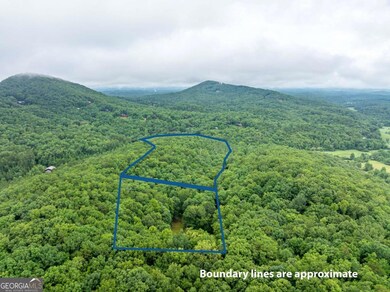 467 Gilliam Trail, Mineral Bluff, GA 30559 - photo 6