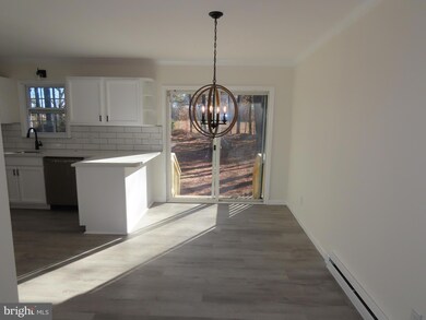 17656 Dusty Rd, Georgetown, DE 19947 - photo 6