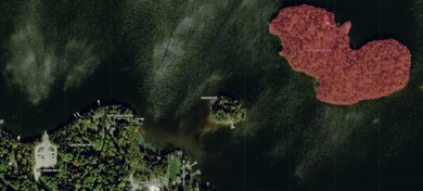 7290 W Anderson Isle, Cook, MN 55723 - photo 2