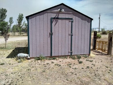 shed 7