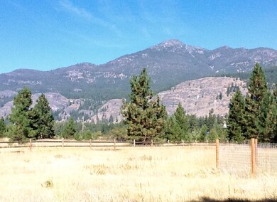 1 Frontage Rd unit Lot 7, Mazama, WA 98833 - photo 2