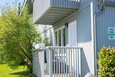 Back Deck