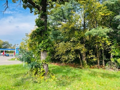 9367 Clover Rd, Bloomfield, WI 53128 - photo 7