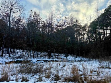 295 Greene 7502 Rd, Paragould, AR 72450 - photo 4