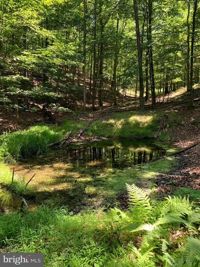 28 Timber Ridge Rd, Berkeley Springs, WV 25411 - photo 6