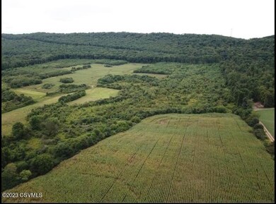 1042 Irish Valley Rd, Paxinos, PA 17860 - photo 5