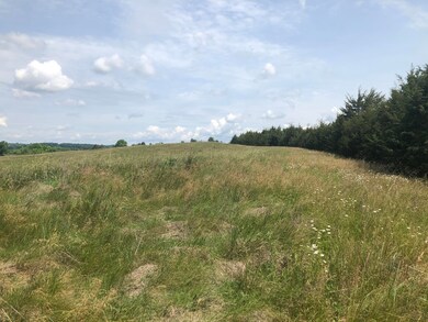 Photo Jun 01, 11 30 42 AM