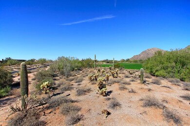 View of Homesite Facing North
