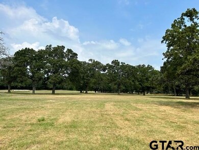 175 Acres County Road 1148, Cumby, TX 75472 - photo 6