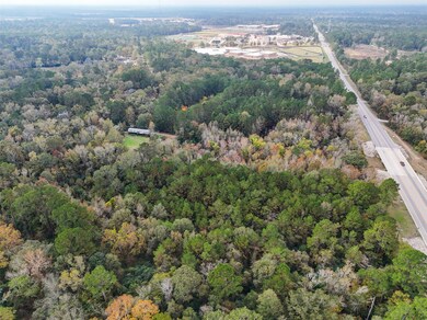 17278 & 17250 Farm To Market Road 2090, Conroe, TX 77306 - photo 5