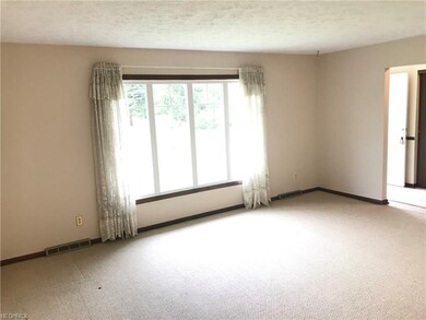 Large bright living room
