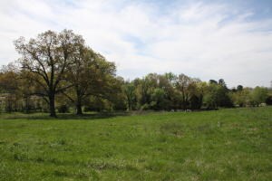 Tract 1 Bunker Rd, Harrison, AR 72601 - photo 3