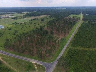 0 Whipples Crossing Rd unit 21448, Dudley, GA 31022 - photo 2