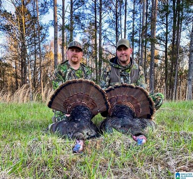 NoBusinessCreek Phillips Ln, Empire, AL 35063 - photo 7