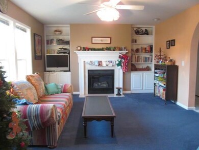 Nice sunny living room with propane...