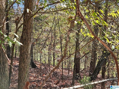 397 Chicksaw Trail unit 17, Ohatchee, AL 36271 - photo 2