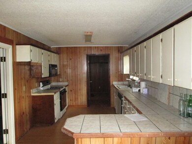 Kitchen View 1