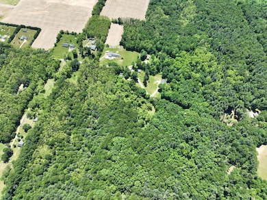 9890 Springport Rd, Parma, MI 49269 - photo 2