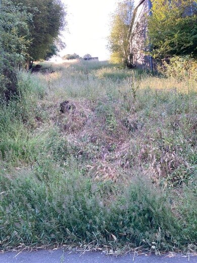 1436 Campus Dr, Berkeley, CA 94708 - photo 3