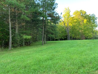 43.93 Ac Thomas Springs Rd, Crossville, TN 38572 - photo 5