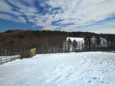 1 Thomas Rd, Old Chatham, NY 12136 - photo 3