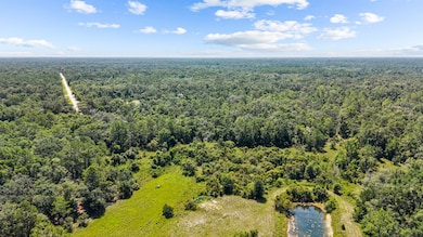 0 NE 354th Ave, Old Town, FL 32680 - photo 5