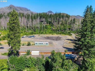 50389 Mckenzie Hwy, Vida, OR 97488 - photo 5