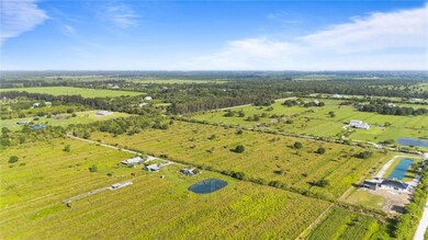 Aerial view of sparsely populated area featuring rows of crops