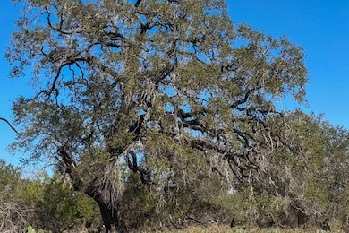 2929 Farm To Market Road 2146, Poteet, TX 78065 - photo 7