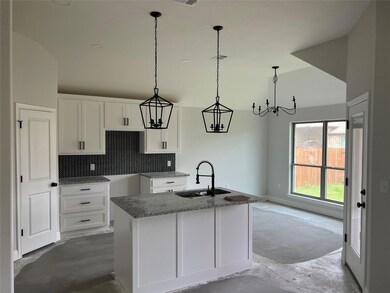 937 Avagail Ave, Springtown, TX 76082 - photo 5