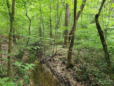 599 Shiloh Rd, Statesville, NC 28677 - photo 4