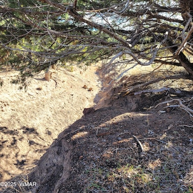 0 S Spanish unit 258796, Eagar, AZ 85925 - photo 3