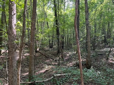 0 Ephesus Church Rd unit RTC2982194, Huntingdon, TN 38342 - photo 7