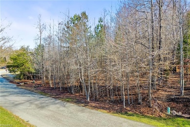 3927 Fox Grove Trail, Greensboro, NC 27406 - photo 5