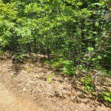 L-27, B-15 Goti Dr, Cherokee Village, AR 72529 - photo 3