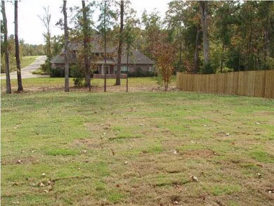 Large Backyard