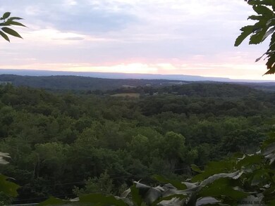 0 Albany Turnpike unit 202125262, Chatham, NY 12136 - photo 4