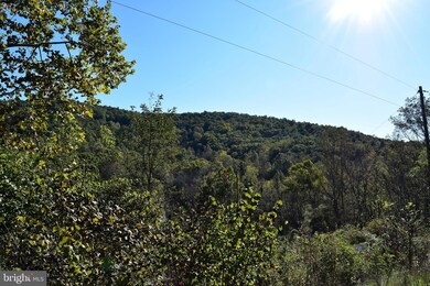 Lot 4 Buck Mountain Rd, Bentonville, VA 22610 - photo 5