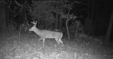 840 Miller Rd, Ola, AR 72853 - photo 4