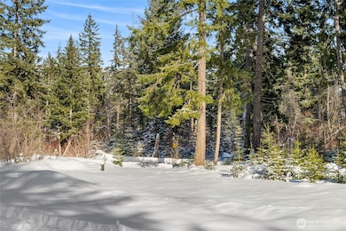 0 NVLot 2 Nelson View Way, Cle Elum, WA 98922 - photo 6