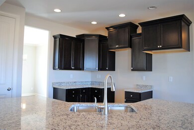 Granite Counters