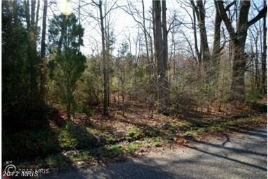 0 Richmond St unit 1003988078, Colonial Beach, VA 22443 - photo 2